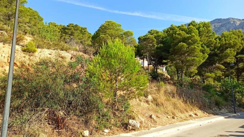 Land na Sprzedaż na Altea, Comunitat Valenciana